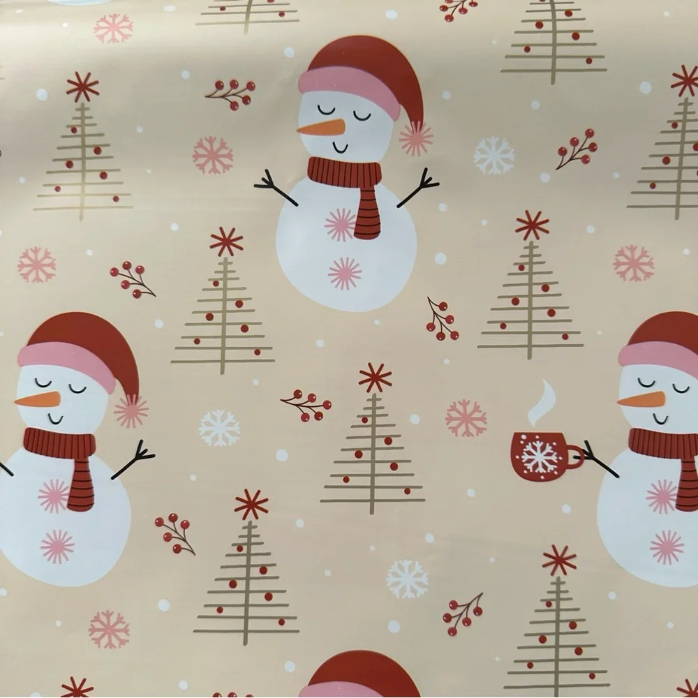 20 Count 14” x 17” Polymailers Assorted Designs